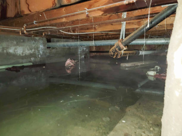 Best Local water damage restoration  in Salem, NJ