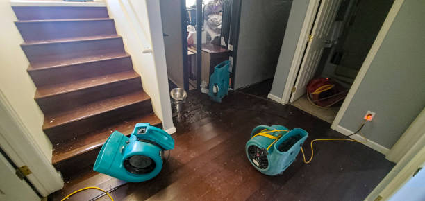 Best Professional water damage repair  in Salem, NJ
