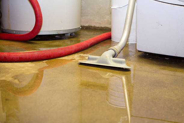  Salem, NJ Water damage restoration Pros