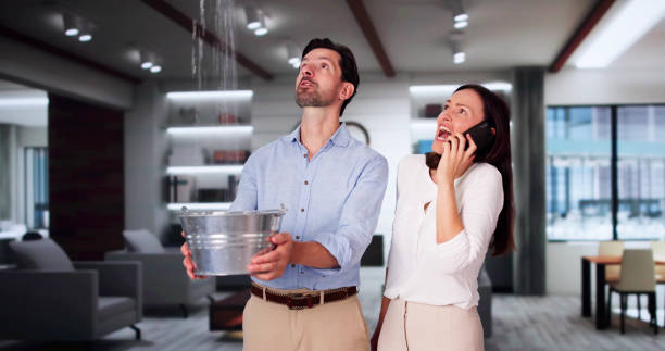 Best Basement water damage restoration  in Salem, NJ